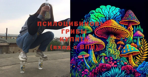 крисы Армянск